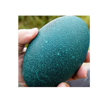 �������ŵ����r�B��������YƷ